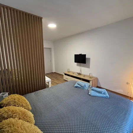 Daire Vlasic Lena Vrsac