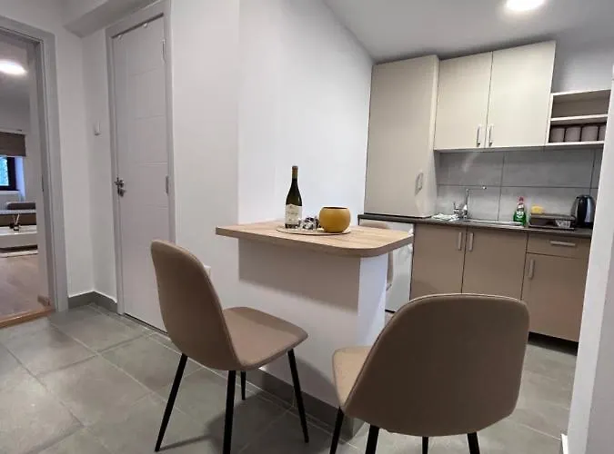 Vlasic Lena Apartament *